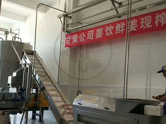 商用工业级大型最新中国P站入口生姜榨汁机